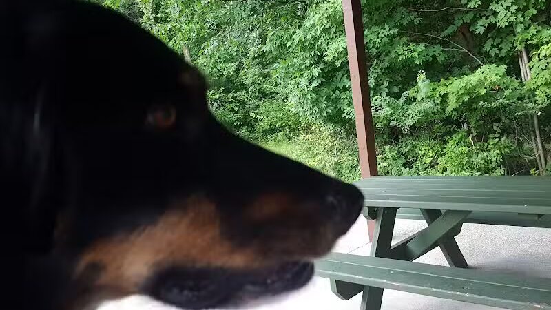 Jaycee Park - Medina, OH