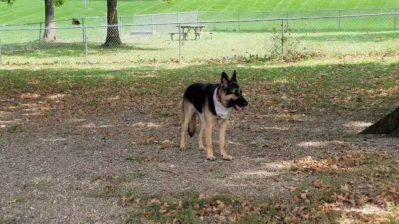 Memorial Park - Dog Park - Medina, OH