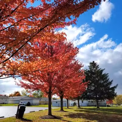 Memorial Park - Dog Park - Medina, OH