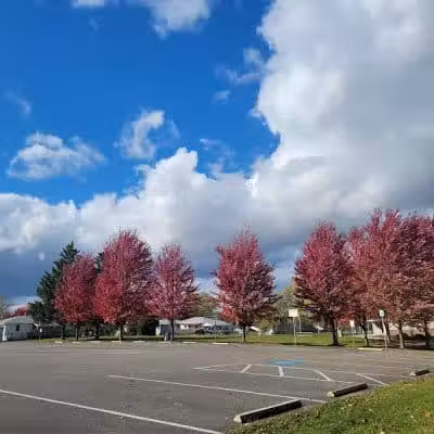 Memorial Park - Dog Park - Medina, OH