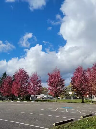 Memorial Park - Dog Park - Medina, OH