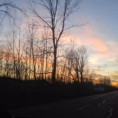 Leadingham Prairie Preserve - Medway, OH
