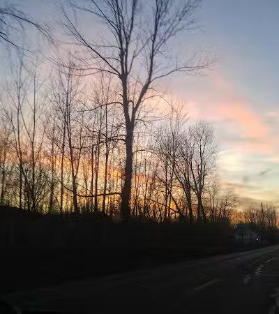 Leadingham Prairie Preserve - Medway, OH
