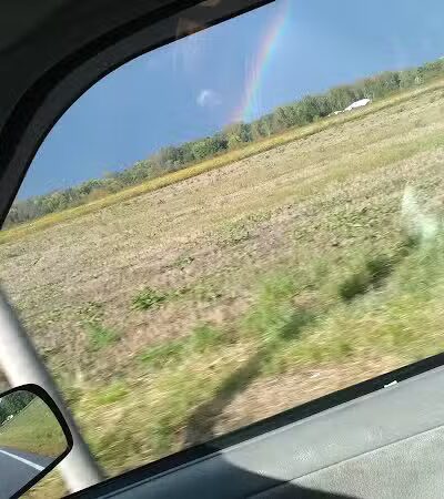 Leadingham Prairie Preserve - Medway, OH