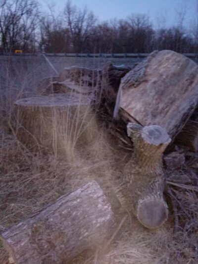 Leadingham Prairie Preserve - Medway, OH