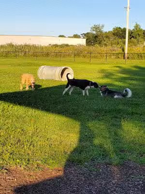 City of Mentor Dog Park - Mentor, OH