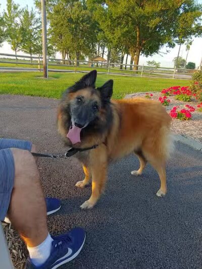 Metamora Baseball Fields - Metamora, OH