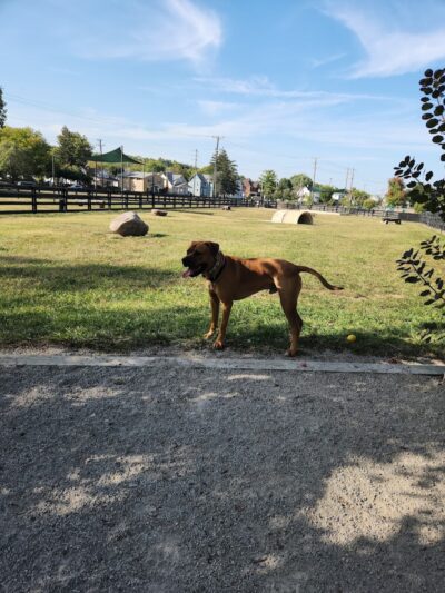 Canal Run Dog Park - Miamisburg, OH
