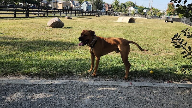 Canal Run Dog Park - Miamisburg, OH