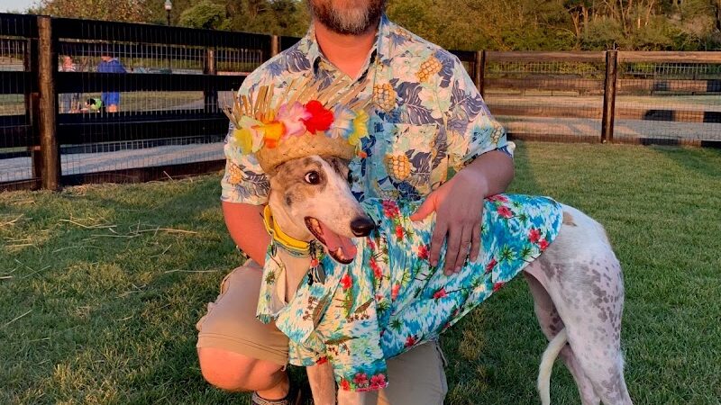 Canal Run Dog Park - Miamisburg, OH