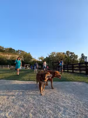 Canal Run Dog Park - Miamisburg, OH
