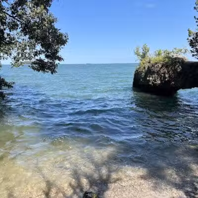 MBI State Park Campground - Middle Bass, OH