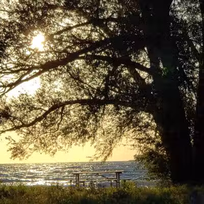 MBI State Park Campground - Middle Bass, OH