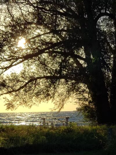 MBI State Park Campground - Middle Bass, OH