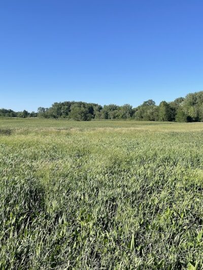 Lake Abram Metropolitan Reservation - Middleburg Heights, OH