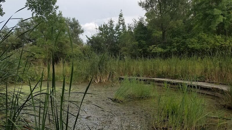 Lake Abram Metropolitan Reservation - Middleburg Heights, OH