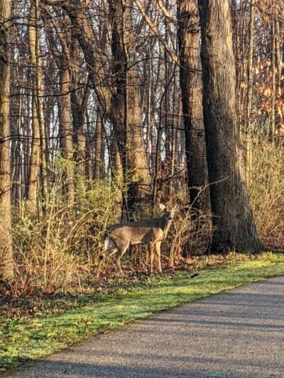 Lake Abram Metropolitan Reservation - Middleburg Heights, OH