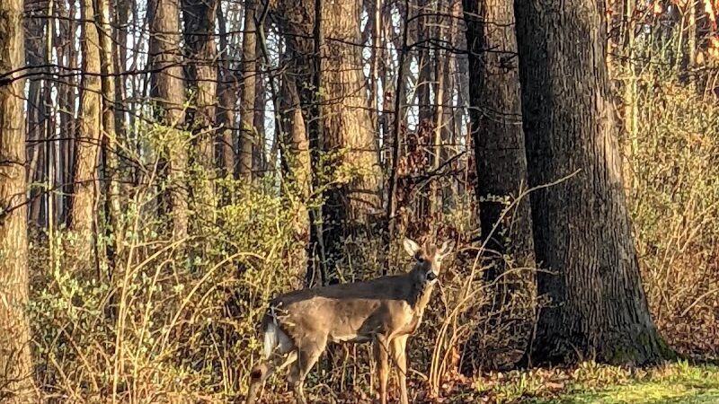 Lake Abram Metropolitan Reservation - Middleburg Heights, OH