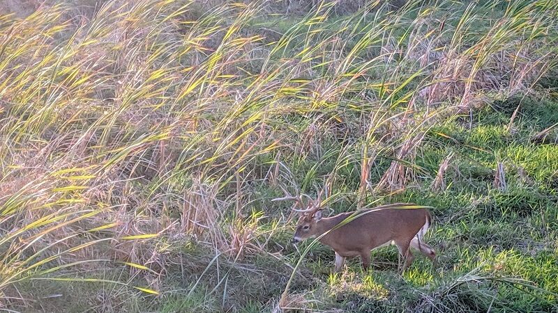 Lake Abram Metropolitan Reservation - Middleburg Heights, OH