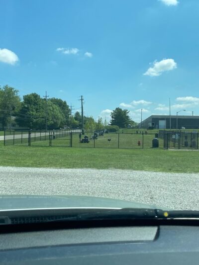 Tri-City Bark Park - Middleburg Heights, OH