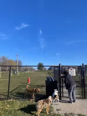 Tri-City Bark Park - Middleburg Heights, OH
