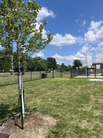 Tri-City Bark Park - Middleburg Heights, OH