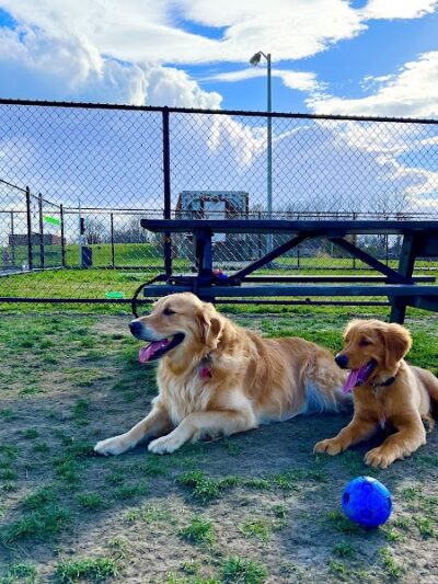 Tri-City Bark Park - Middleburg Heights, OH