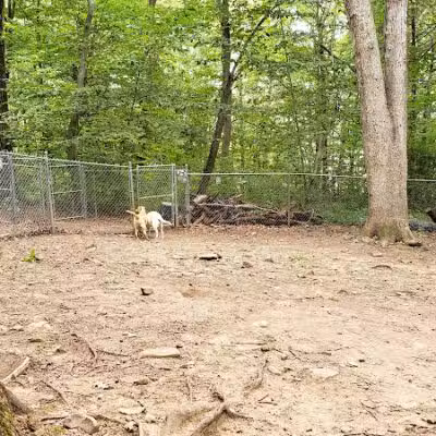 Middlefield Dog Park - Middlefield, CT