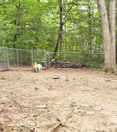 Middlefield Dog Park - Middlefield, CT