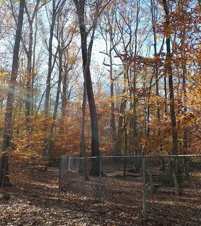 Middlefield Dog Park - Middlefield, CT