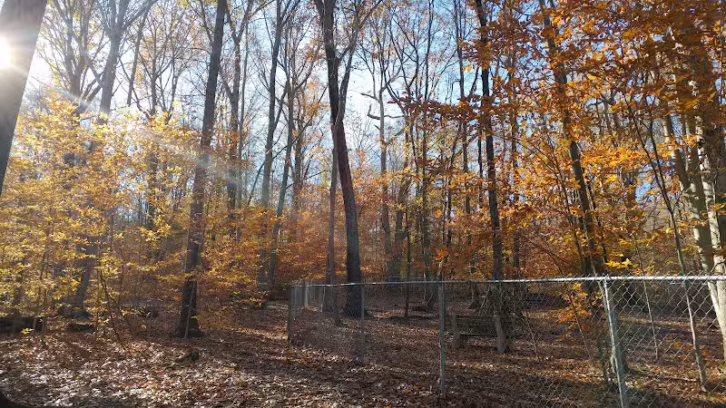 Middlefield Dog Park - Middlefield, CT