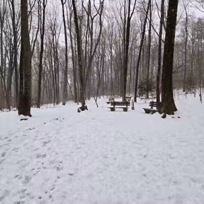 Middlefield Dog Park - Middlefield, CT