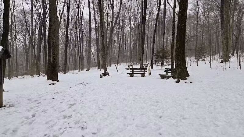 Middlefield Dog Park - Middlefield, CT