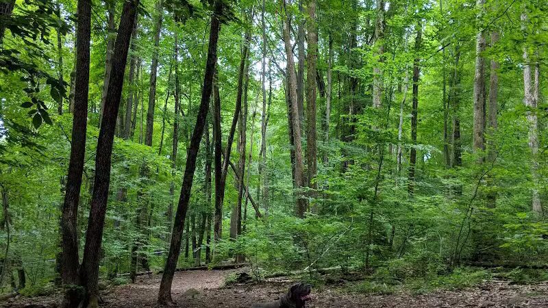 Middlefield Dog Park - Middlefield, CT