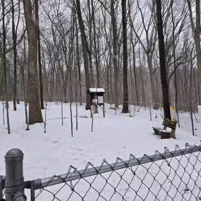 Middlefield Dog Park - Middlefield, CT