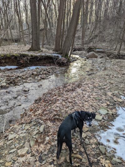 Swine Creek Reservation - Middlefield, OH