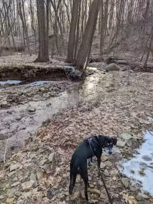 Swine Creek Reservation - Middlefield, OH