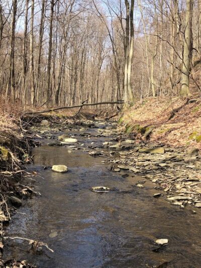 Swine Creek Reservation - Middlefield, OH
