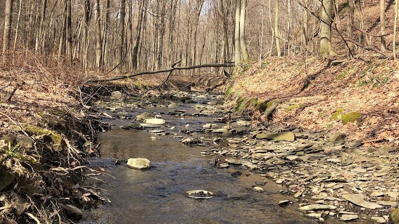 Swine Creek Reservation - Middlefield, OH