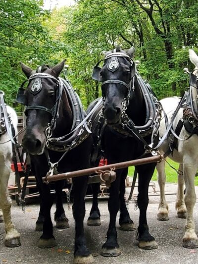 Swine Creek Reservation - Middlefield, OH