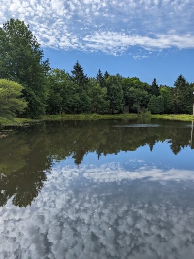 Swine Creek Reservation - Middlefield, OH