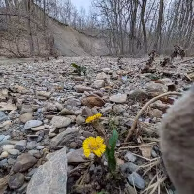 Swine Creek Valley Shelter - Middlefield, OH