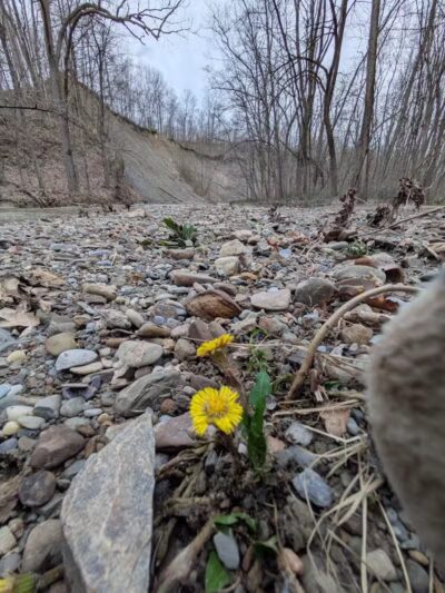 Swine Creek Valley Shelter - Middlefield, OH