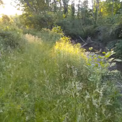 Tare Creek Trailhead (Maple Highlands Trail) - Middlefield, OH