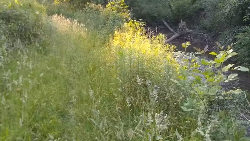 Tare Creek Trailhead (Maple Highlands Trail) - Middlefield, OH