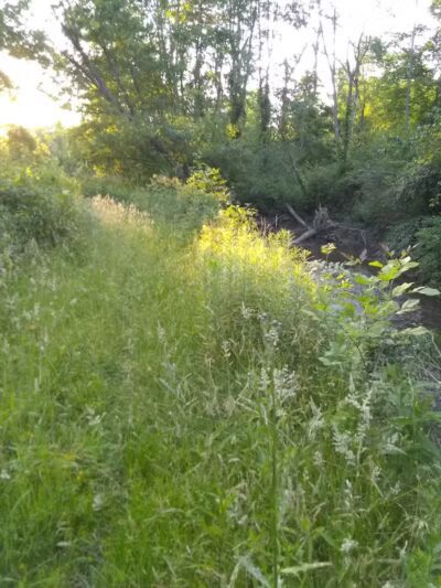 Tare Creek Trailhead (Maple Highlands Trail) - Middlefield, OH