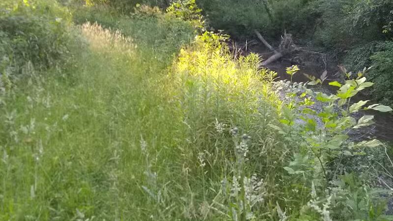 Tare Creek Trailhead (Maple Highlands Trail) - Middlefield, OH