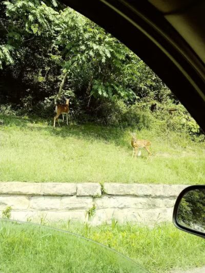 Middleport Ball Park - Middleport, OH