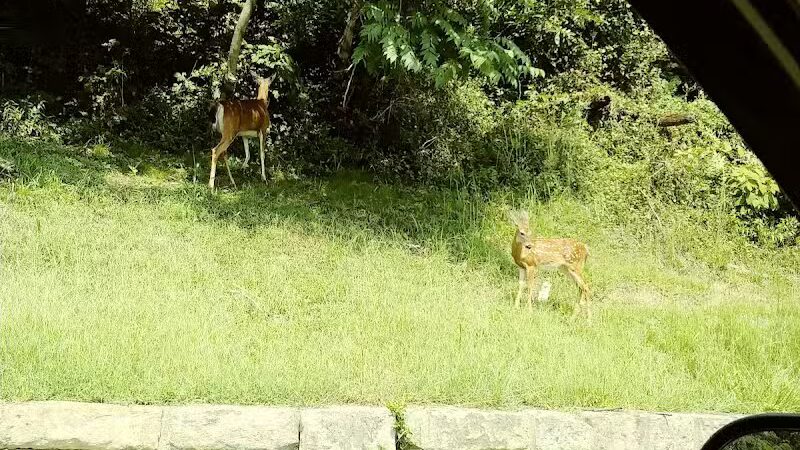 Middleport Ball Park - Middleport, OH