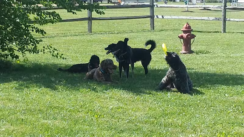 Bark Fitness Pet Care - Middletown, OH